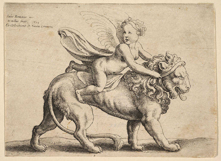 Animal Drawing - Cupid on a lion by Wenceslaus Hollar