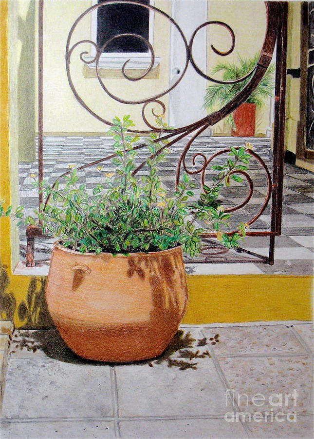 Curacao Courtyard Drawing by Glenda Zuckerman