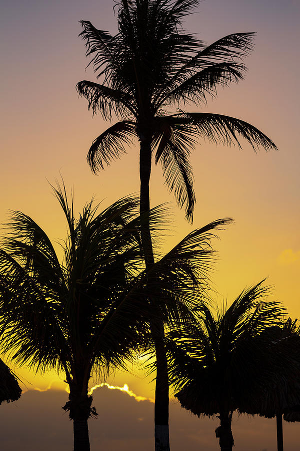 Curacao Sunset Photograph