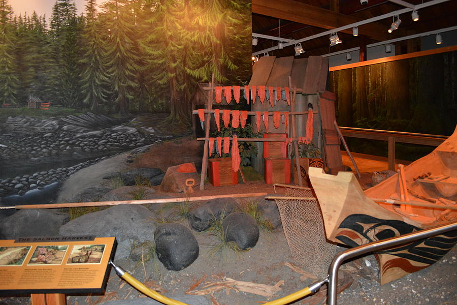 Curing salmon the old way by Joe Smiga Curing salmon the old way by Joe Smiga