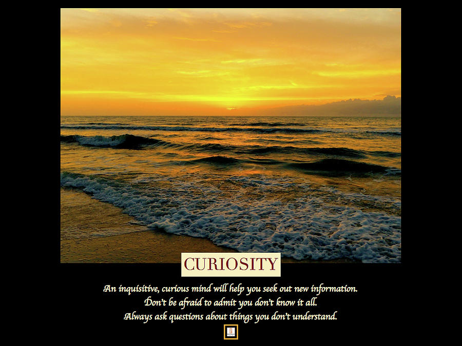 Curiosity 21 - 24 Characteristics Of A Genius Photograph