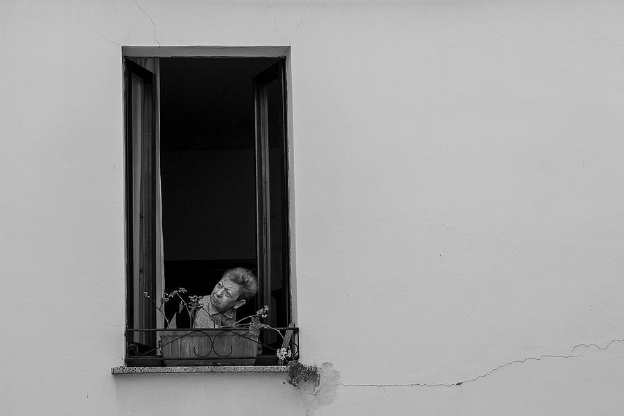 Curiosity At The Window Photograph by Mario Conteddu