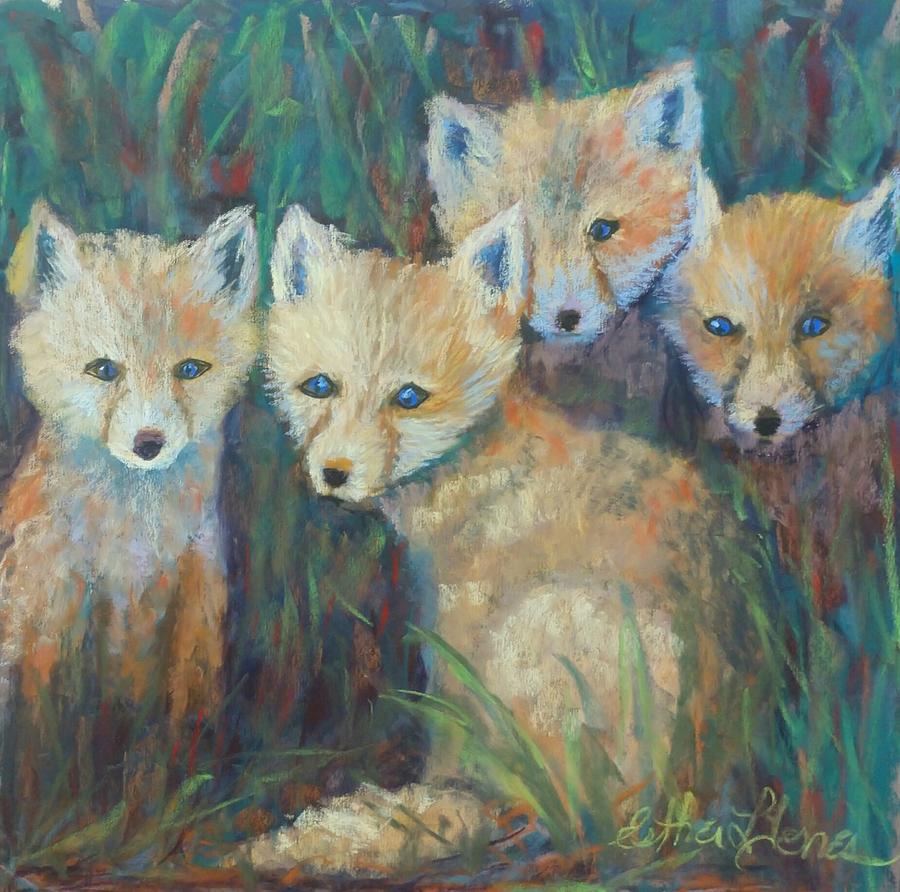 Fox Pastel - Curiosity Kits by Esther Jones Fox Pastel - Curiosity Kits by Esther Jones