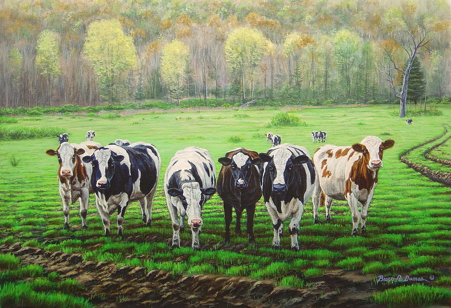 Curious Cows Painting by Bruce Dumas