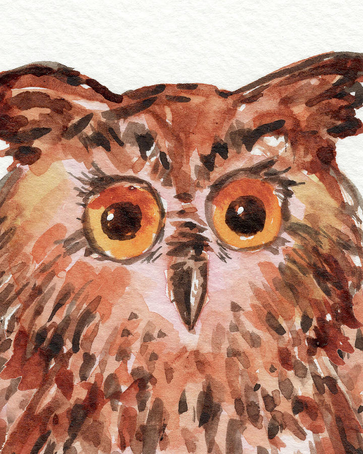 Curious Owl Watercolor Painting Painting