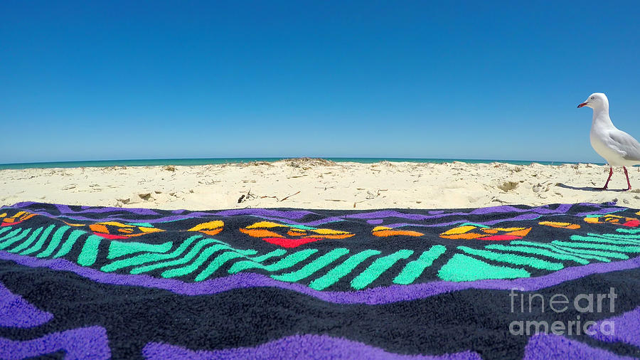 Curious seagull walking past beach towel Photograph by Milleflore Images
