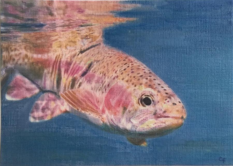 Curious Trout Painting by Cara Frafjord