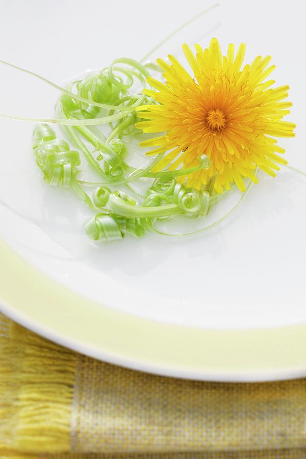 Curled Dandelion Stems And A Flower On A Plate On A Placemat Photograph by Lscher, Sabine