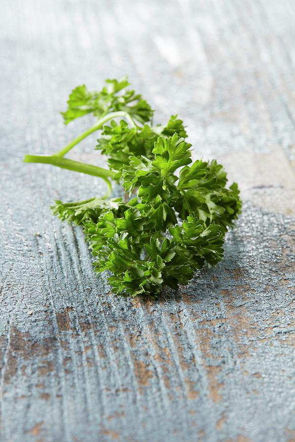 Curly-leaf Parsley On A Blue Wooden Background Photograph by Dirk Przibylla