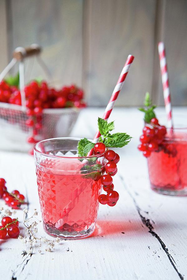 Currant Spritzer With Fresh Mint Photograph by Denise Rene Schuster