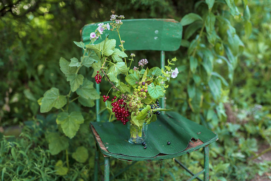 Currants On A Green Garden Chair Photograph by Joanna Stolowicz