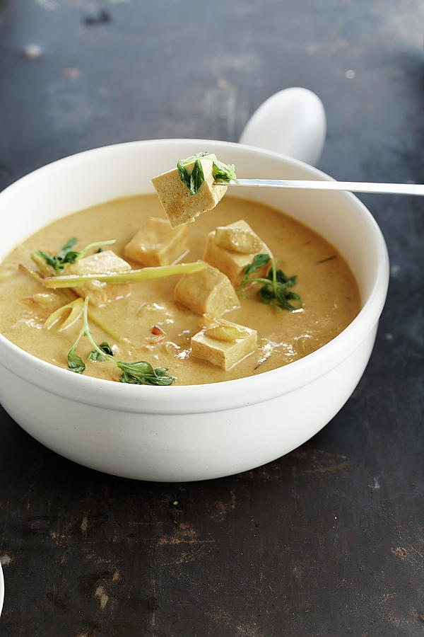 Curry Fondue With Tofu Photograph by Rafael Pranschke - Fine Art America