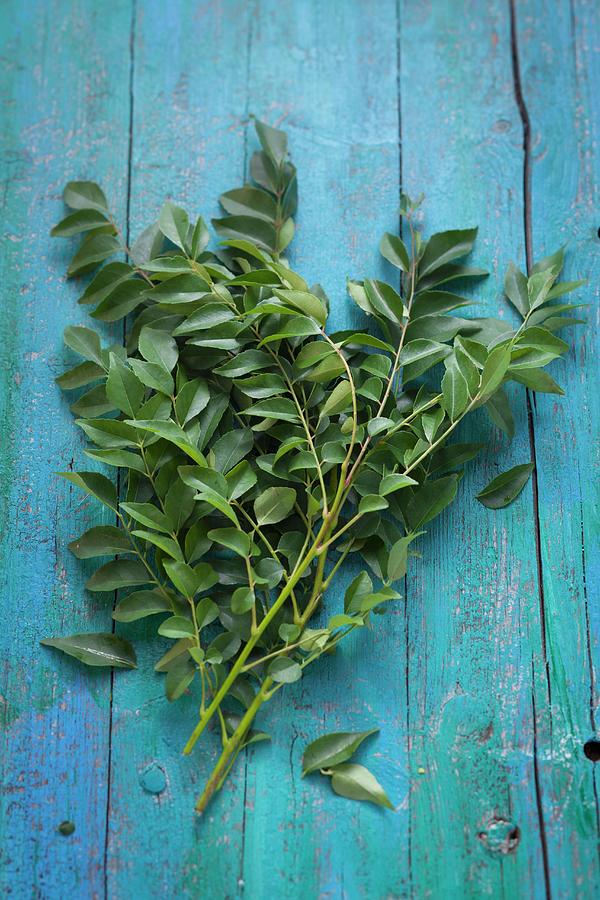 Curry Leaves On A Rustic Wooden Table Photograph by Eising Studio - Food Photo & Video