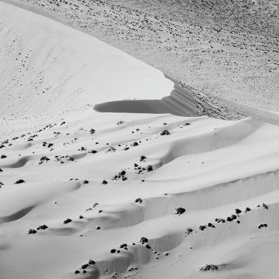 Curve by Dalibor Hanzal Curve by Dalibor Hanzal