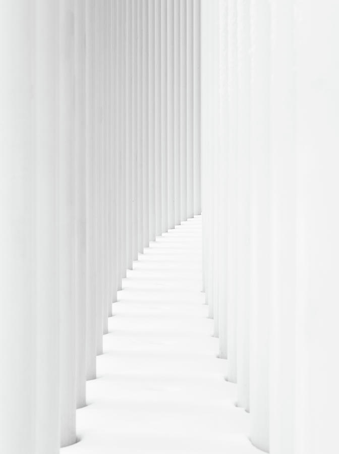 Curved Path Between Two Rows Of White Photograph by Philipp Klinger