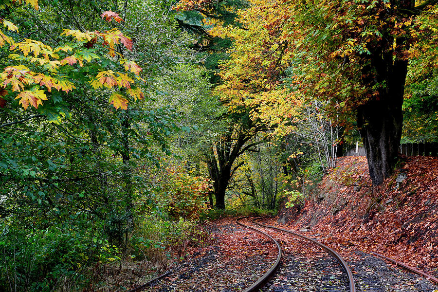 Fall Photograph - Curved Tracks by Susan Vizvary Photography