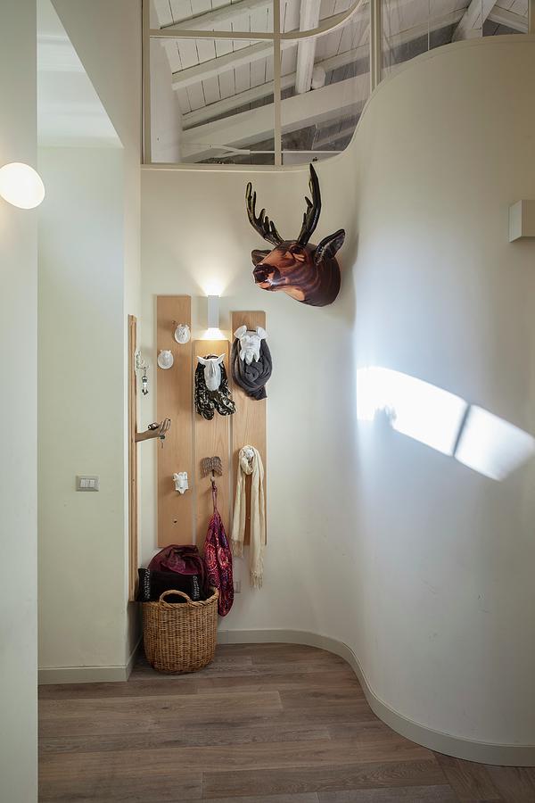 Curved Wall In Hallway And Coat Rack With Stylised Animal Heads Photograph by Laura Rizzi