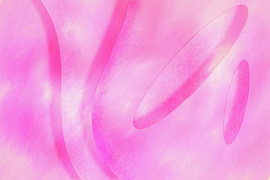 Curves in Pink Digital Art by Jason Fink