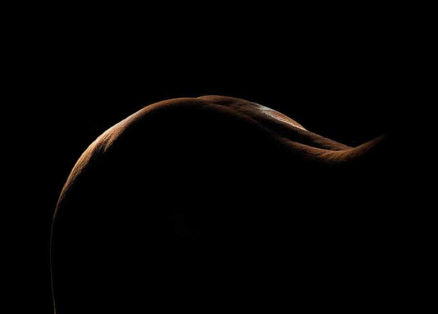 Curves by Ryan Courson Curves by Ryan Courson