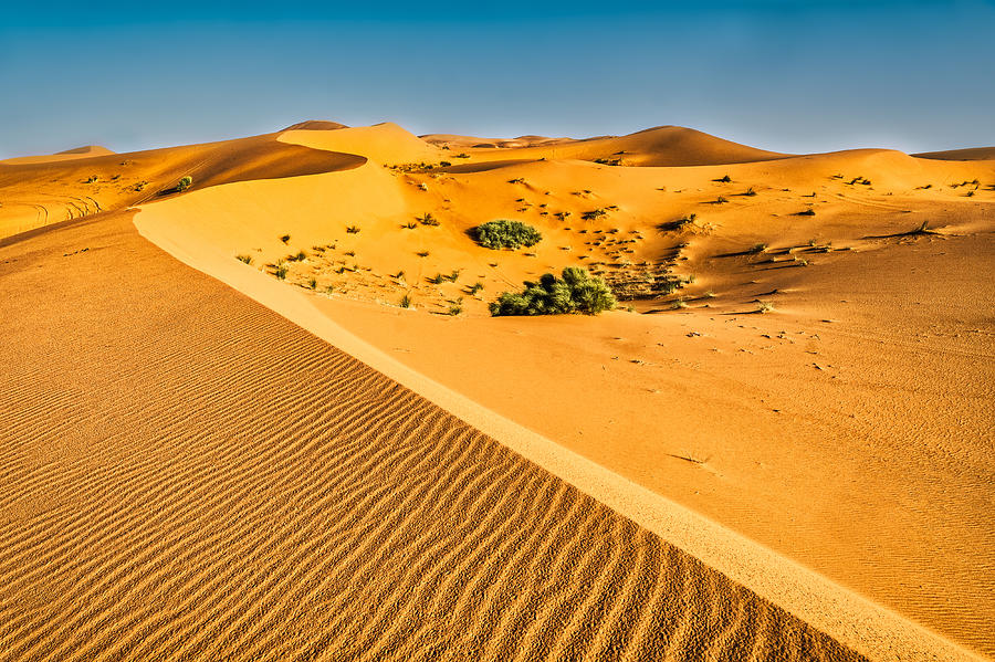 Curving Sand Dune Ridges #2 - Morocco Photograph by Stuart Litoff