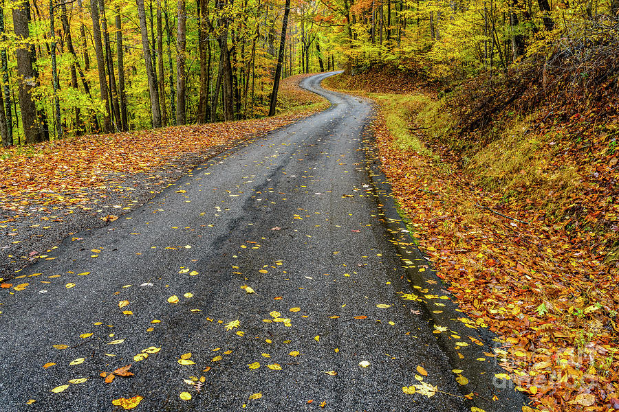 Fall Photograph - Curvy Country Road in Autumn by Thomas R Fletcher