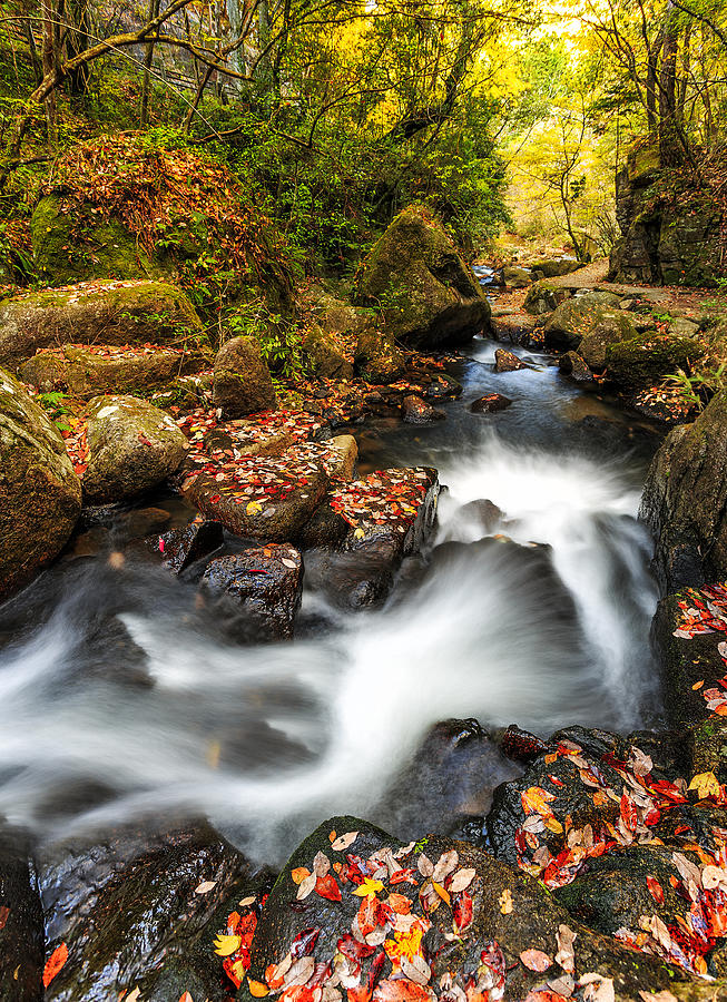 Curvy River Photograph by Ozan Aktas - Fine Art America