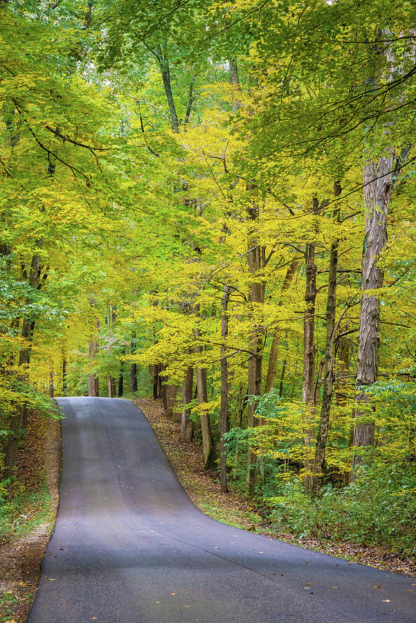 Curvy Road In Clifty Creek Park Photograph By Anna Miller 