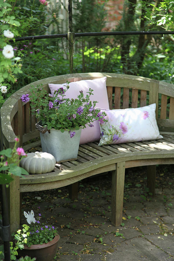 Cushions, Potted Petunias And Ornamental Squash On Garden Bench Photograph by Sonja Zelano