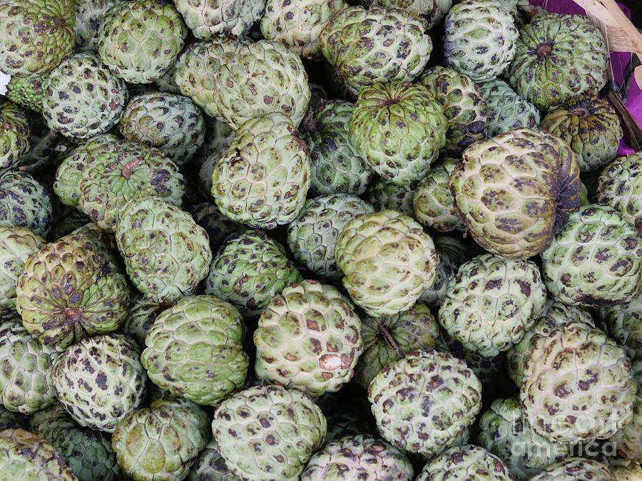 Custard Apples (annona Squamosa) Photograph by Sinclair Stammers/science Photo Library