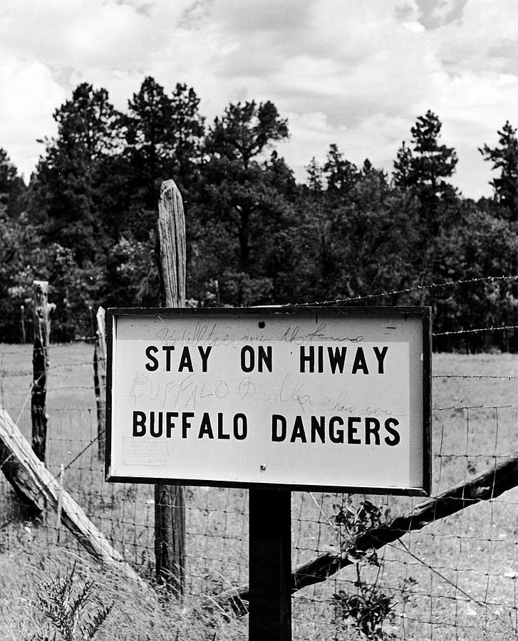 Sign Photograph - Custer State Park by Alfred Eisenstaedt