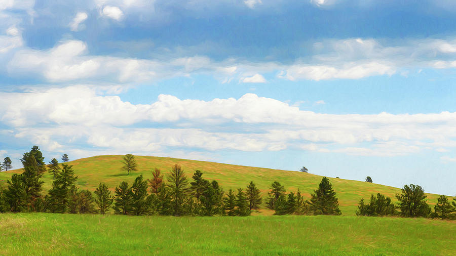 Custer State Park South Dakota Meadow Painterly Photograph