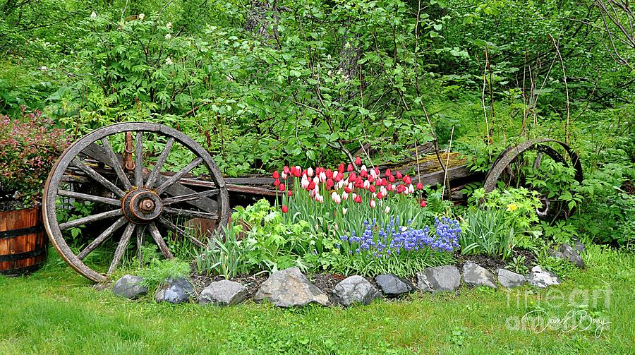 Custom Girdwood Garden Alaska Photograph by Diane E Berry