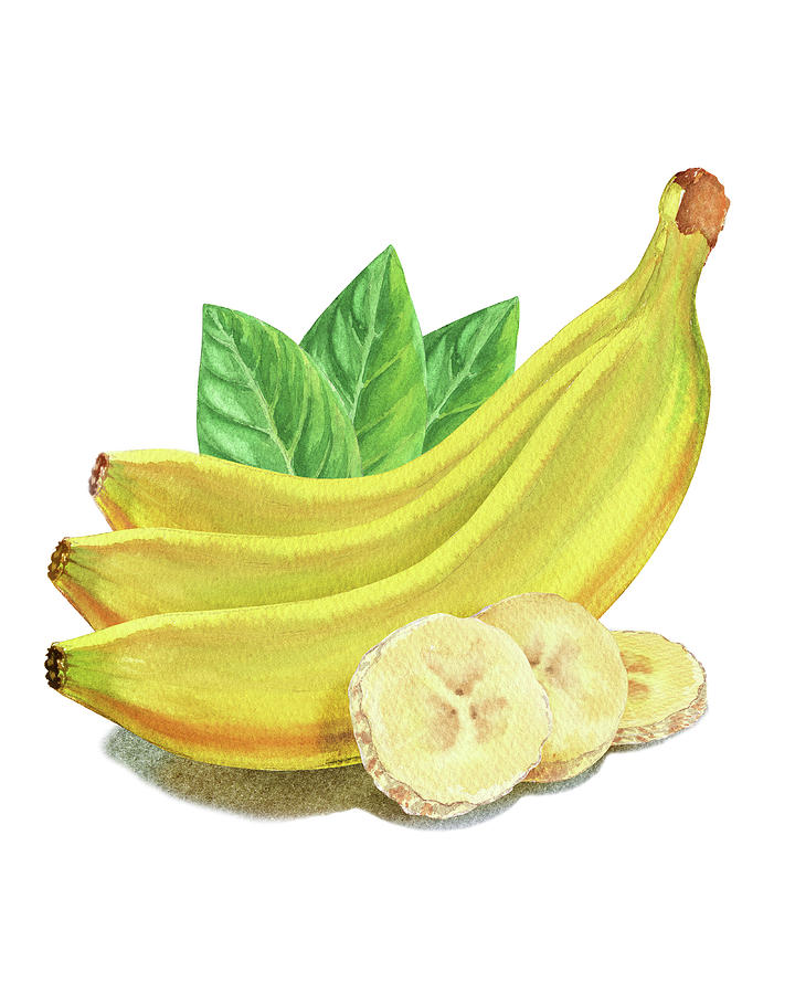 Cut And Whole Bananas Watercolor Illustration Painting