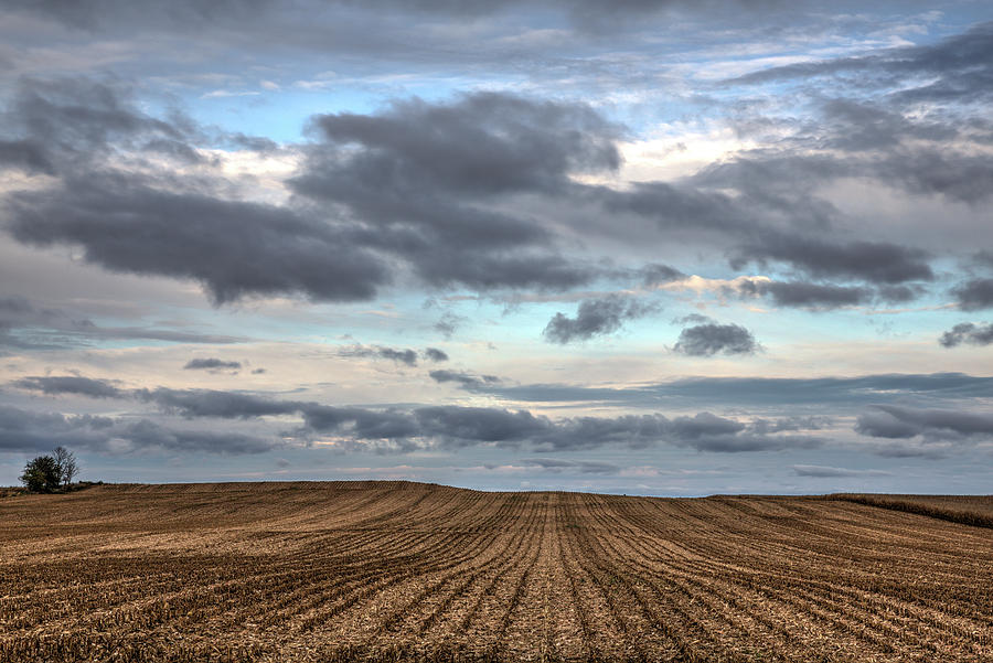 Cut corn field at sunset Photograph by Don Johnston - Fine Art America