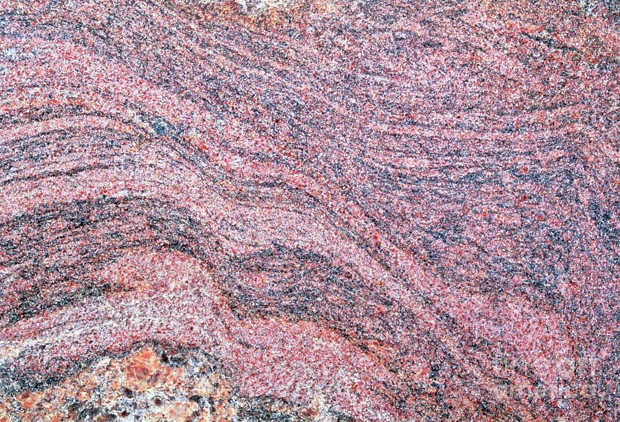 Cut Rock Surface Of Granite Invading Psammite Photograph by George Bernard/science Photo Library