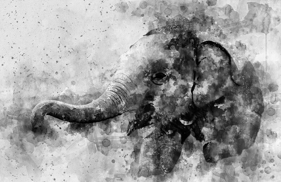 Cute Baby Elephant Black and White Watercolor Painting by SP JE Art