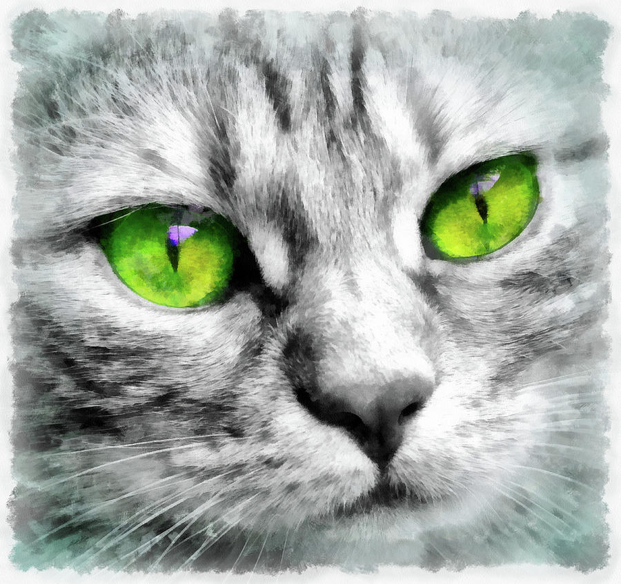 Cute Cat Portrait Watercolor Painting by Matthias Hauser