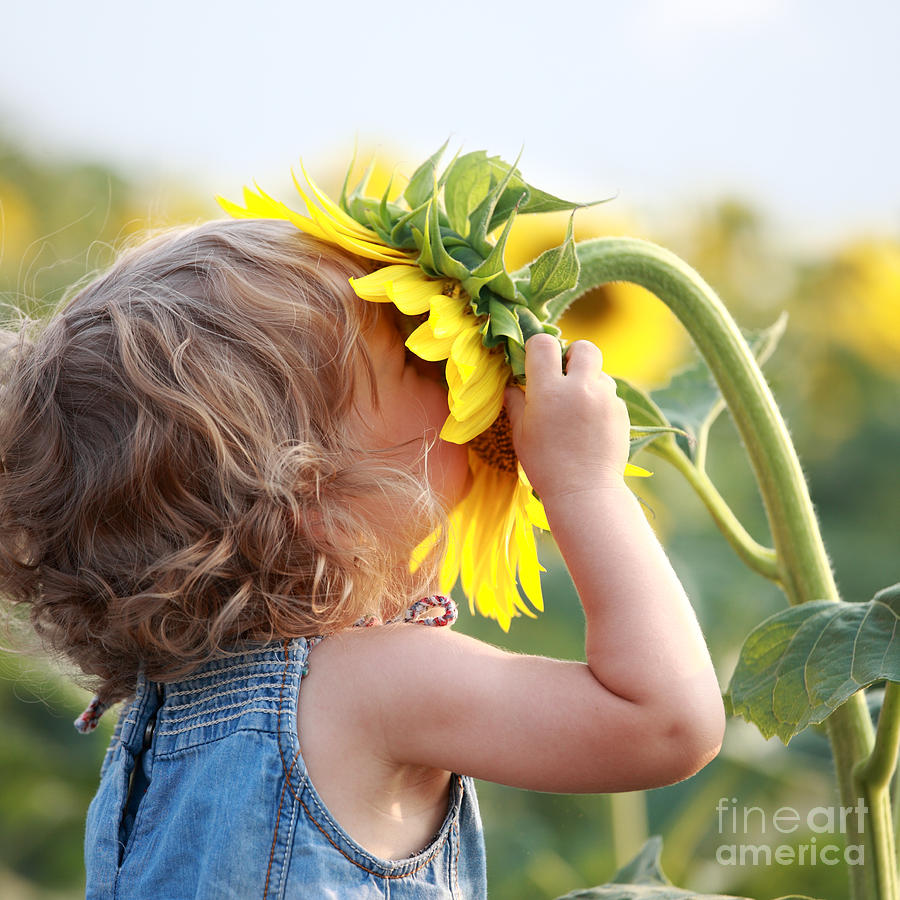 Cute Child With Sunflower In Summer Photograph By Sunny Studio