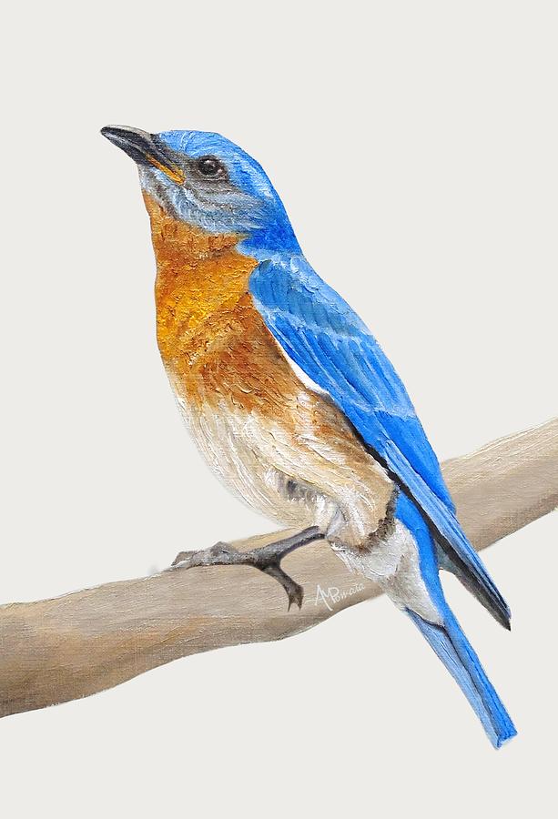 Cute Eastern Bluebird  Painting by Angeles M Pomata