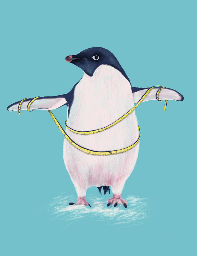 Penguin Digital Art - Cute Fat Penguin Goes On Diet by Boriana Giormova