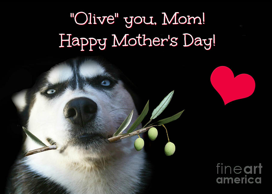 Cute I Love You Mom Happy Mothers Day Photograph by Stephanie Laird