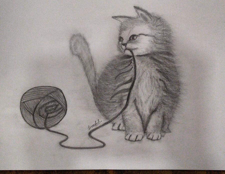 Cute kitten Drawing by Areesha Abbas - Pixels
