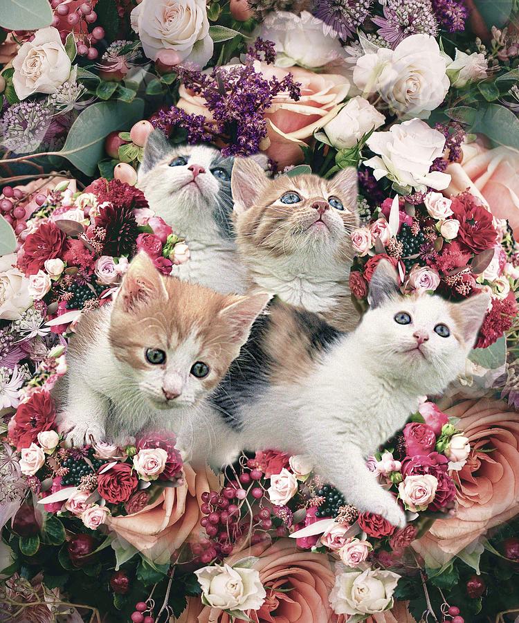 Cute Kitty Cat Flower Digital Art by Random Galaxy