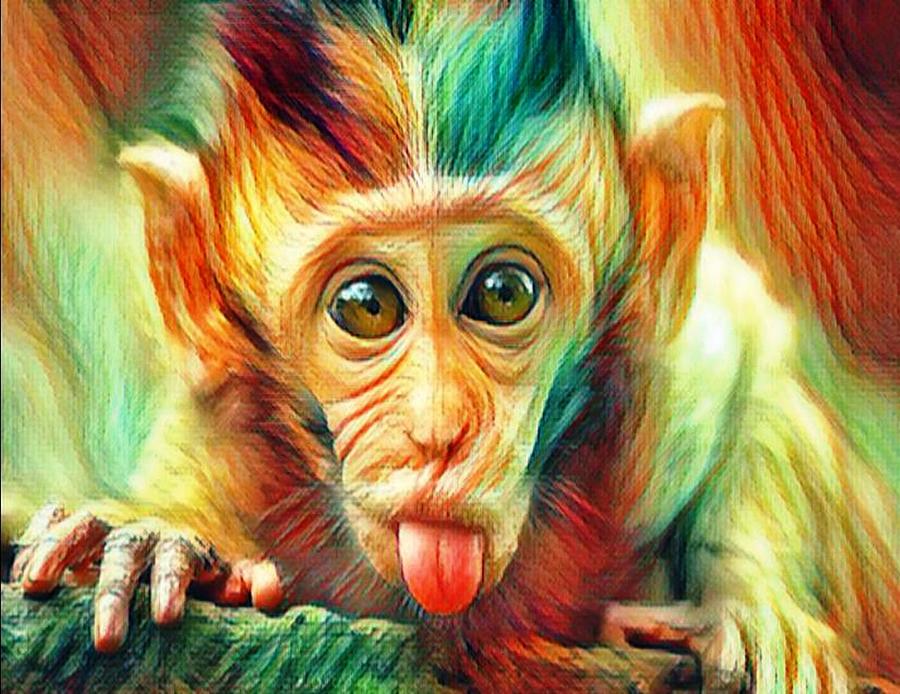 Cute Monkey 