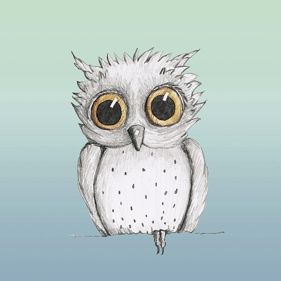 Chromaflutters Cute Owl Drawing Collection - COLORFUL 8