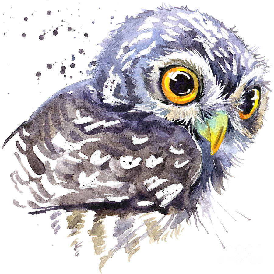 Owl Digital Art - Cute Owl Watercolor Illustration by Faenkova Elena
