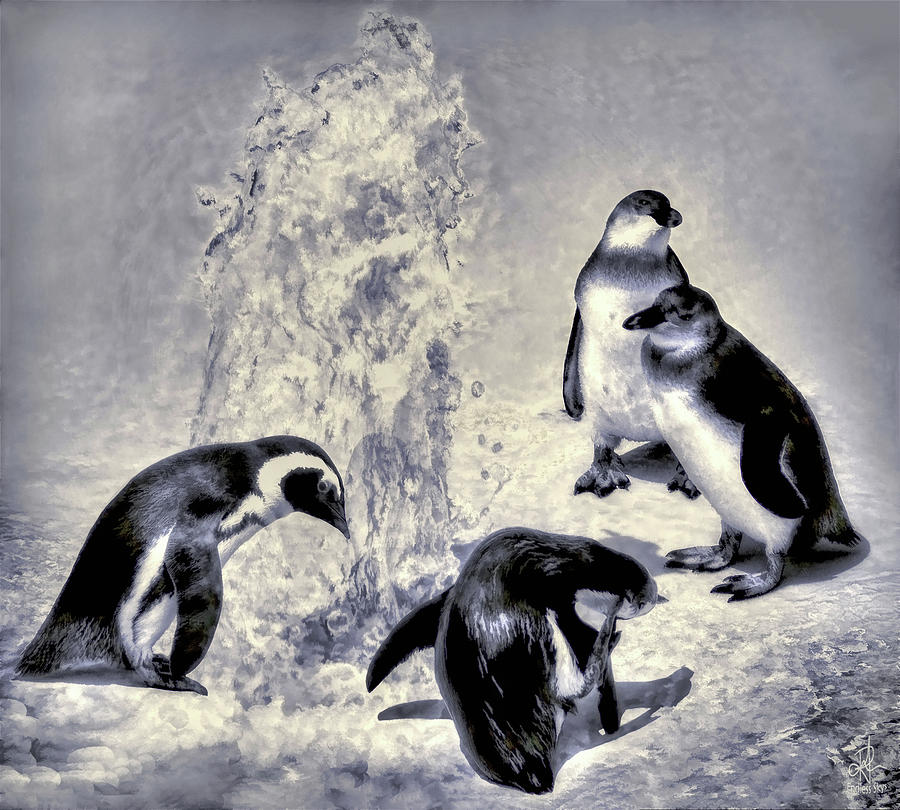 Cute Penguins Photograph by Pennie McCracken