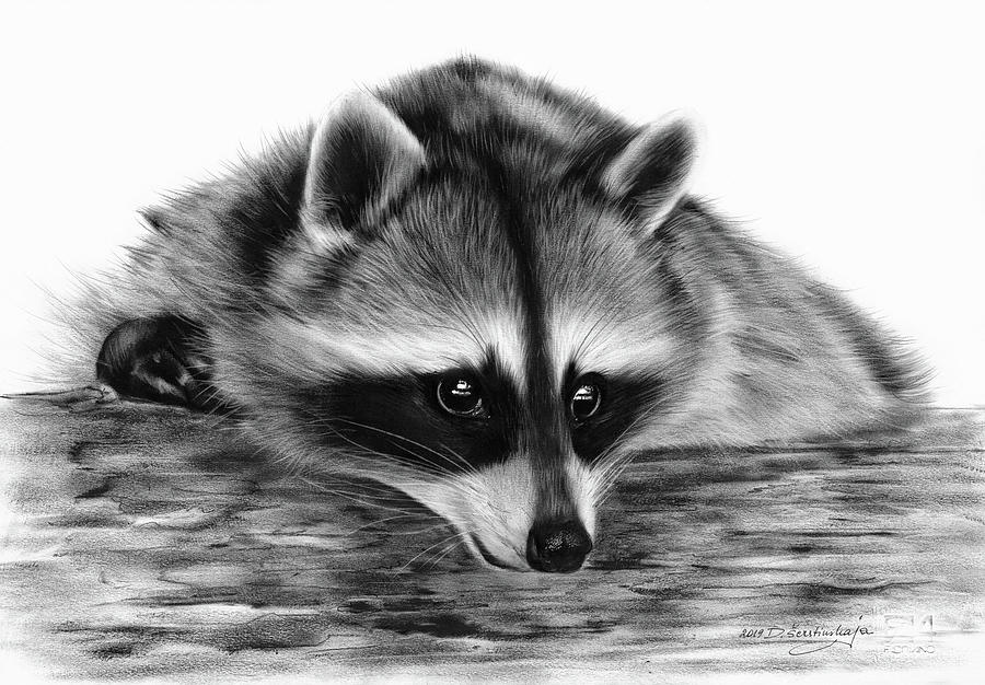 Cute Raccoon Painting