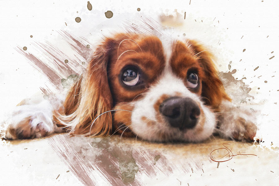 Cute Spaniel Painting by Rob Smiths