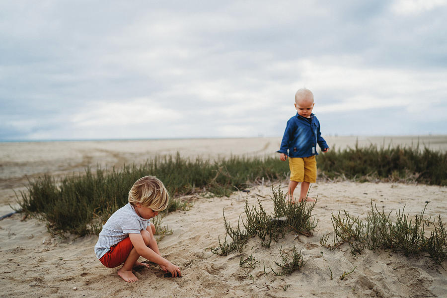 Cute Young Children Playing In Sand Dunes At Beach On Overcast Day ...